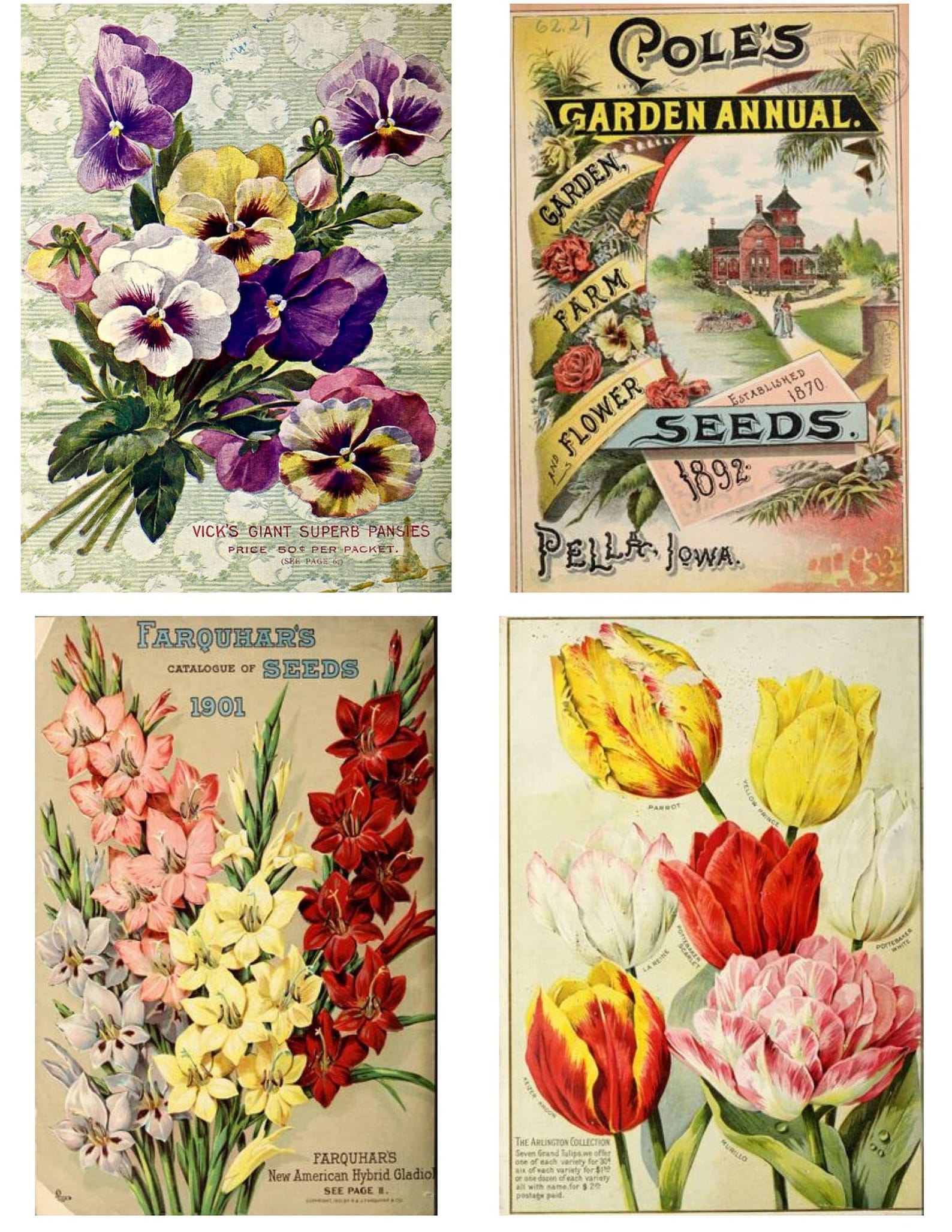 Vintage Seed Packet Digital Download Flower Vegetable Seed Collage ...