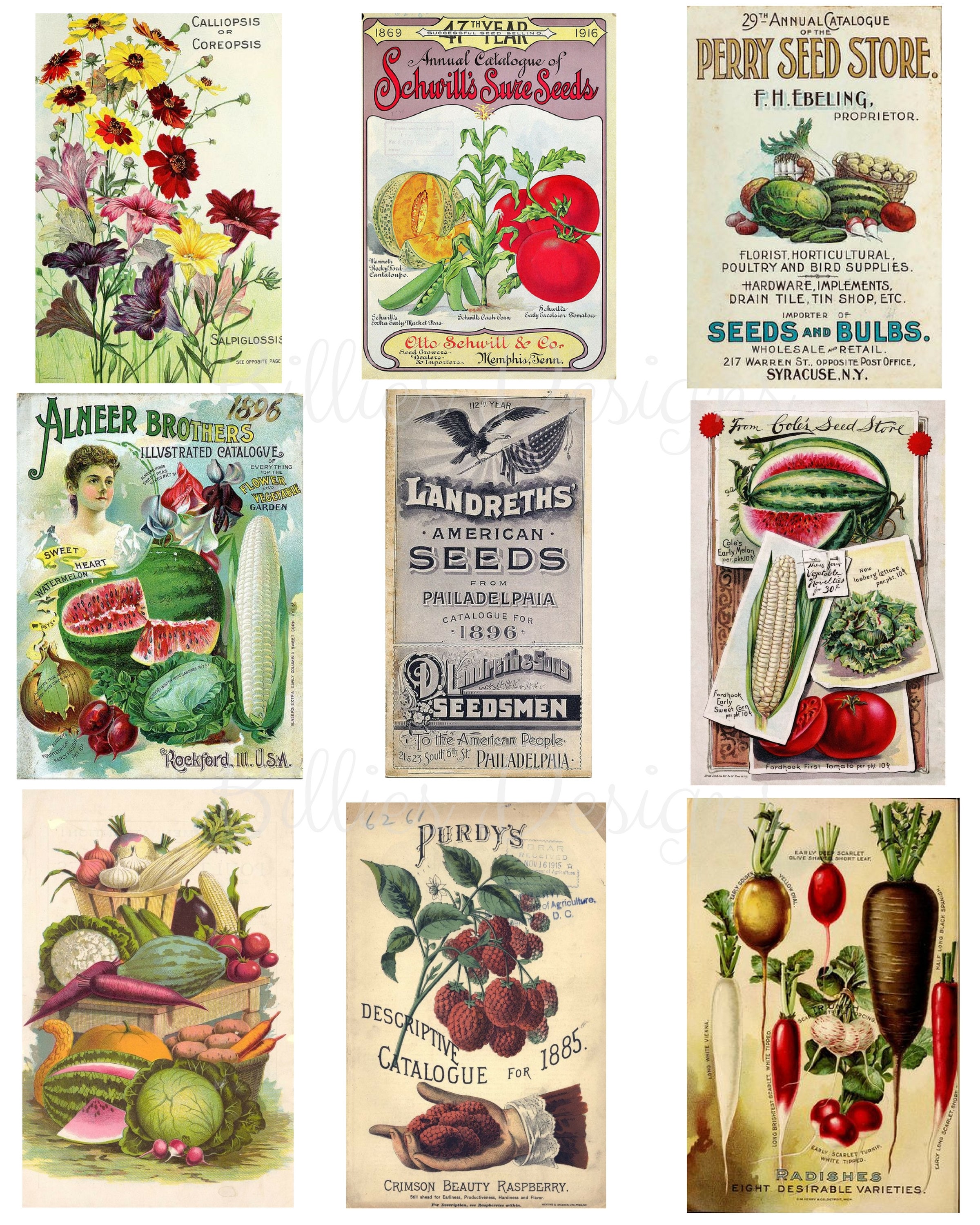 Printable Vintage Seed Packets, Instant Download Collage Sheet SKU 0023
