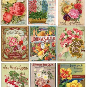 Vintage druckbare Blumen Samen Paket Collage Sheet digitaler Download SKU 0044