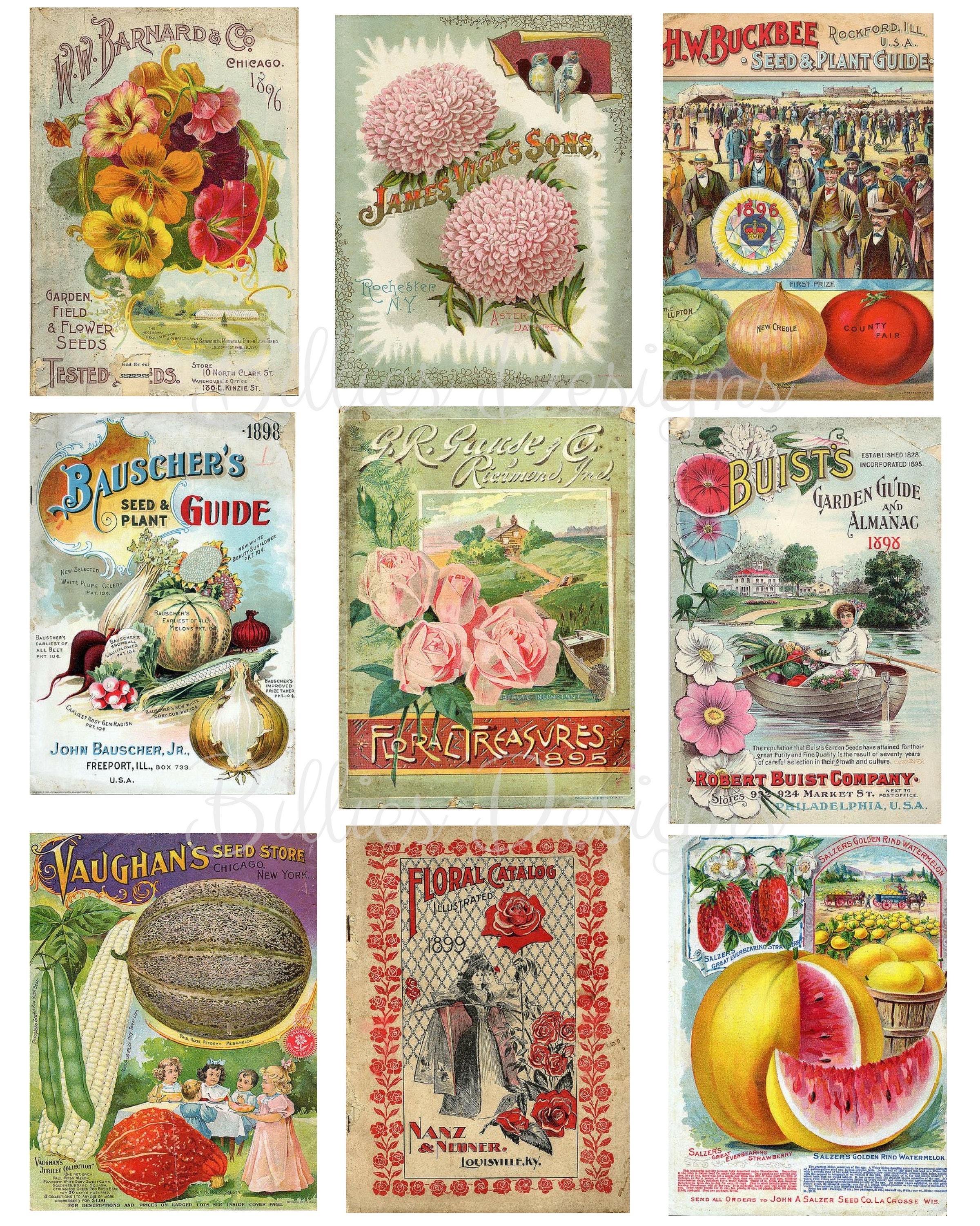 Vintage Flower Seed Packets Set 1 Commercial Use Printable JPG Digital  Collage Sheet and Individual PNG Images 