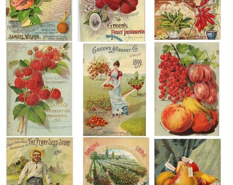 Vintage Seed Packet Digital Download Flower Ephemera Collage Sheet SKU 0038