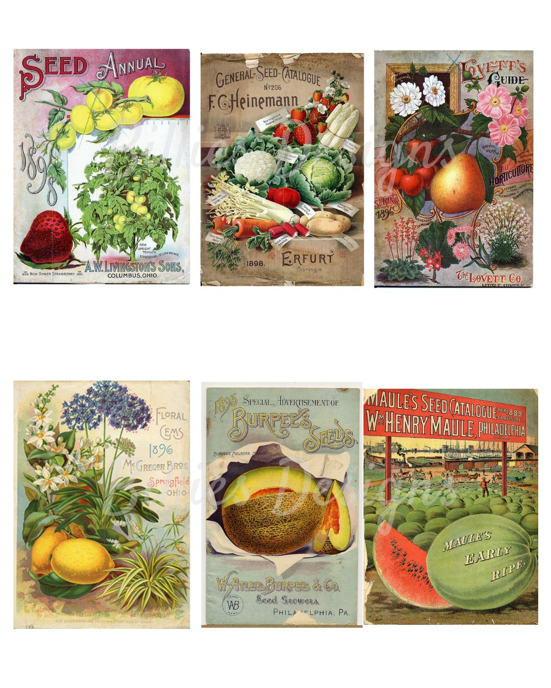 Vintage Seed Packet Digital Download Flower Vegetable Seed - Etsy