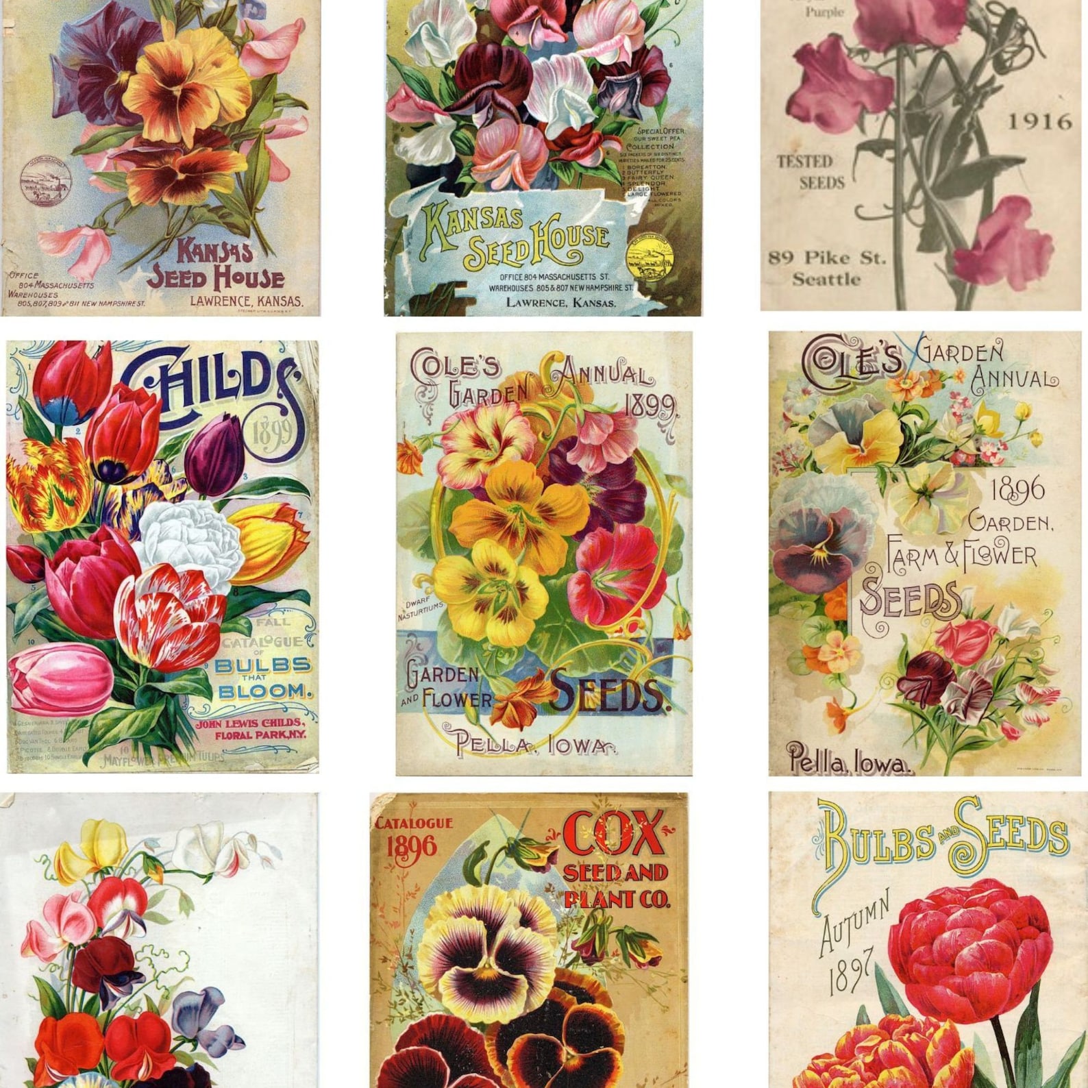 Vintage Flower Seed Packet Printable JPG Digital Download Collage Sheet ...