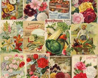 Vintage Flower Seed  Packets Digital Download  - 5 Collage Sheets SKU 0062