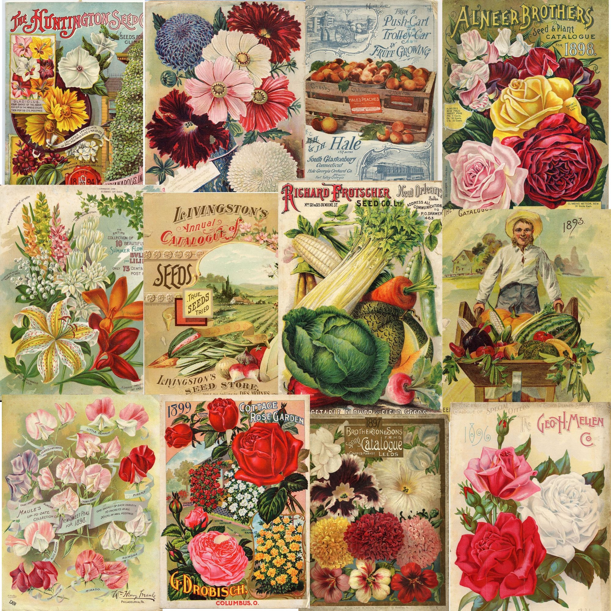 Printable Vintage Vegetable Seed Packets Commercial Use JPG Digital Collage  Sheet and Individual PNG Images
