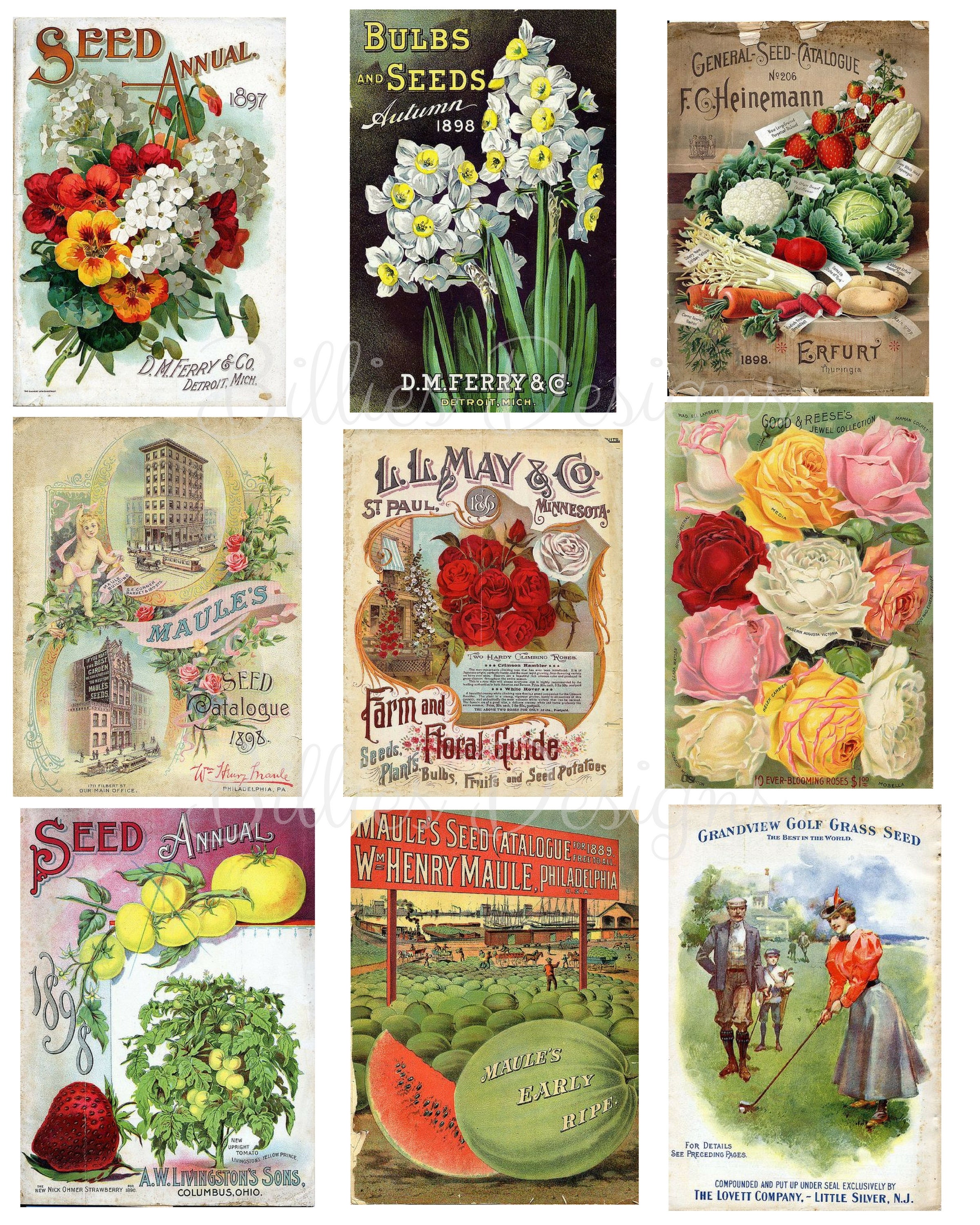 Vintage Seed Packet Digital Download Flower Ephemera Collage Sheet SKU 0040