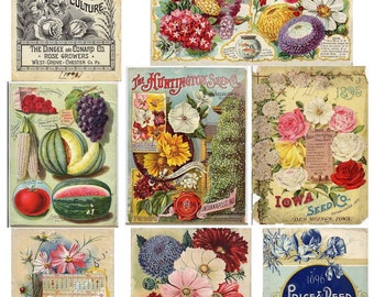 Vintage Seed Packet Digital Download Flower Vegetable Ephemera SKU 0039