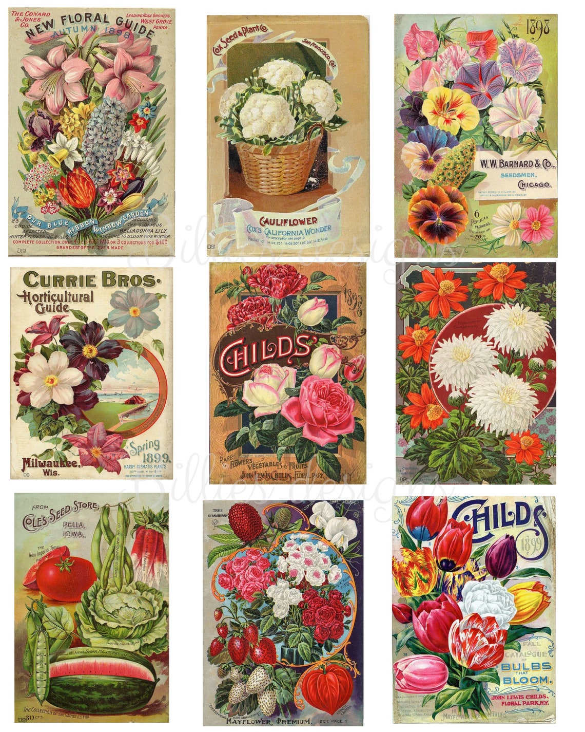 Vintage Seed Packet Digital Download Flower Seed Collage Sheet SKU 0035