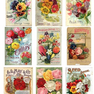 Vintage Seed Packet Digital Download Flower Vegetable Ephemera SKU 0021