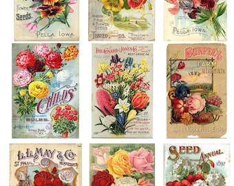 Vintage Seed Packet Digital Download Flower Vegetable Ephemera SKU 0021