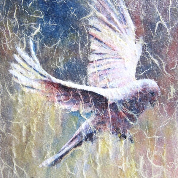 White Dove bird art limited edition Giclee print. 8x10