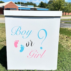 Giant Gender Reveal Box