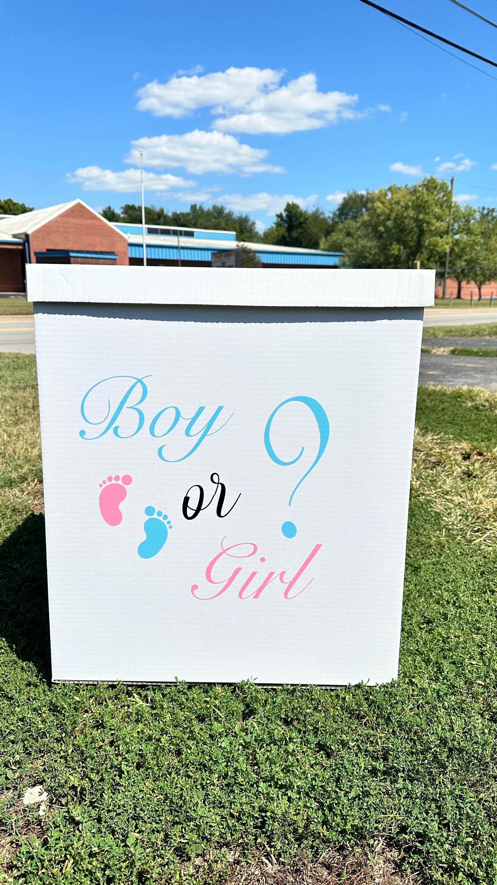 GRADENEVE 24x Popcorn-Boxen Für Gender-Reveal-Party – 11,5x7x5 Cm, Aus Papier, Blau & Rosa Gemischt, Perfekt Für Snacks & Partydeko