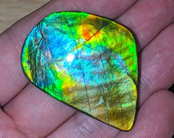 AMMOLITE cabochon AAA-kwaliteit Blue Zone handgepolijst, geen epoxy. Voor hanger, ketting, bolo, sieraden.