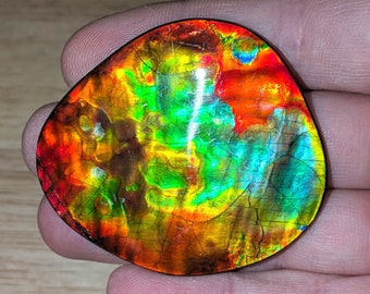 MASSIVE AAA Grade Ammolite Gemstone Cabochon. Rare Blue Zone Hand Polished. For Jewelry, Necklace, Pendant, Bolo. No Epoxy or Coating