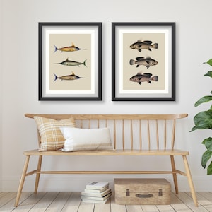 Neutral Fish Digital Wall Art Set – Fish Wall Decor, Vintage Coastal Home Decor Prints, Lakehouse DIGITAL Prints, Lakehouse Wall Decor Gift