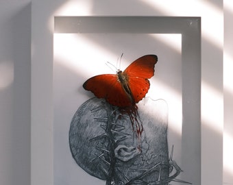 Real Framed Butterfly(Cymothoe sangaris) With Origin Hand Drawing As Background