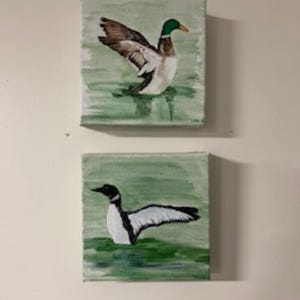 Acrylic Bird Paintings on Canvas: Mallard and Loon - Lake House Decor
