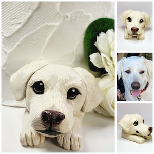 Custom Pet Sculpture Peekaboo Pet Head and Paws Decoration for Wedding Cake