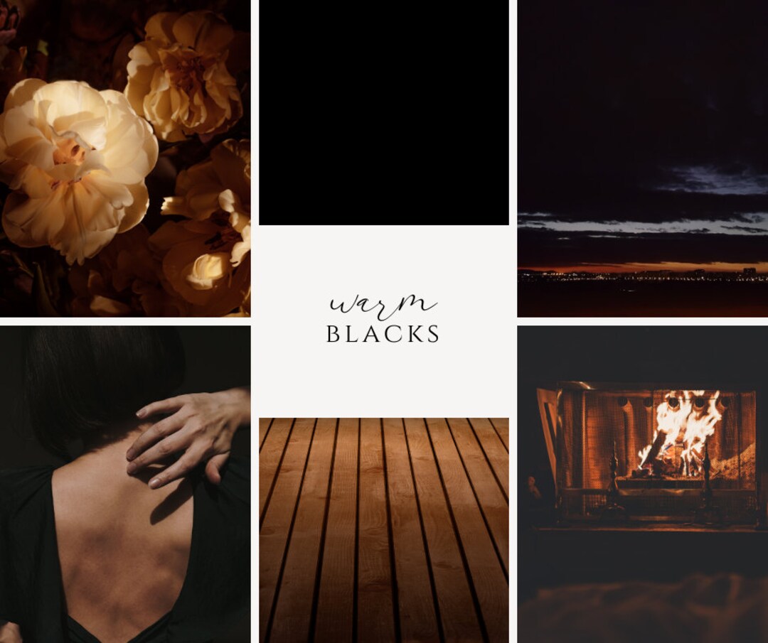 Luxury Branded Color Palette: Warm Black; 5 Color Themes With Hex Codes ...