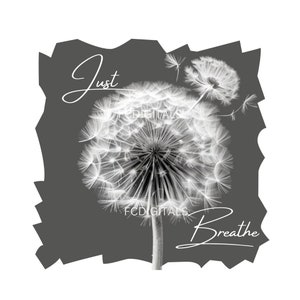 Gewoon ademen paardebloem PNG, sublimatie ontwerp, paardebloem bloem clipart, digitaal bestand, Wildflower clipart afbeelding, onbeperkt commercieel gebruik