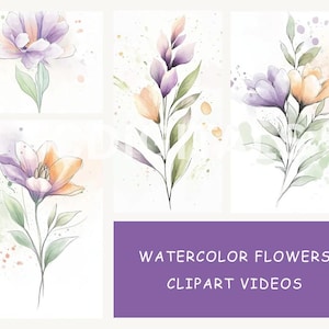 Flower Clipart Videos, Watercolor Floral Clipart, MP4 Videos, Digital Download Videos, Digital Marketing Reels, Animated Flower Clipart
