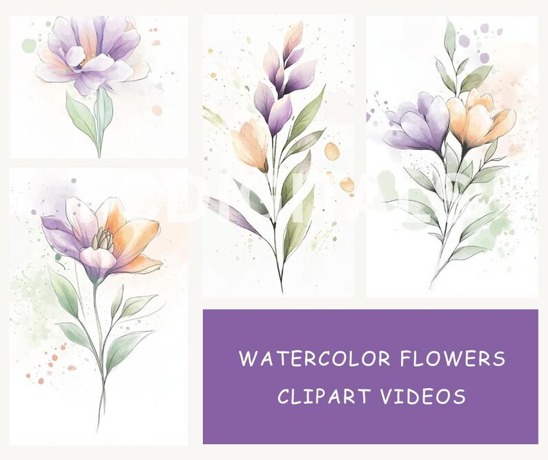 Flower Clipart Videos, Watercolor Floral Clipart, MP4 Videos, Digital Download Videos, Digital Marketing Reels, Animated Flower Clipart