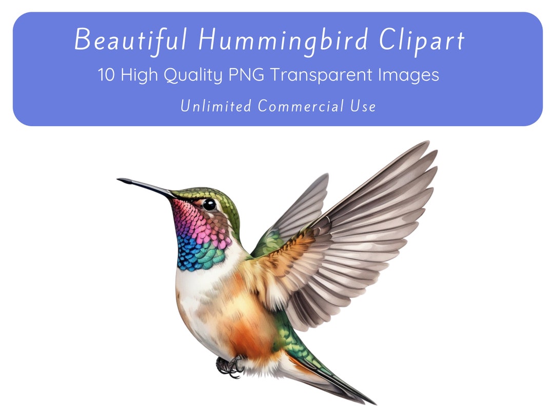 Hummingbird Clipart, Hummingbird PNG, Hummingbird Images Transparent ...