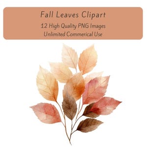 May include: Watercolor illustration of fall leaves in shades of brown, orange, and red. The leaves are arranged on delicate stems, with a banner at the top that reads "Fall Leaves Clipart". The banner also states "12 High Quality PNG Images" and "Unlimited Commerical Use".