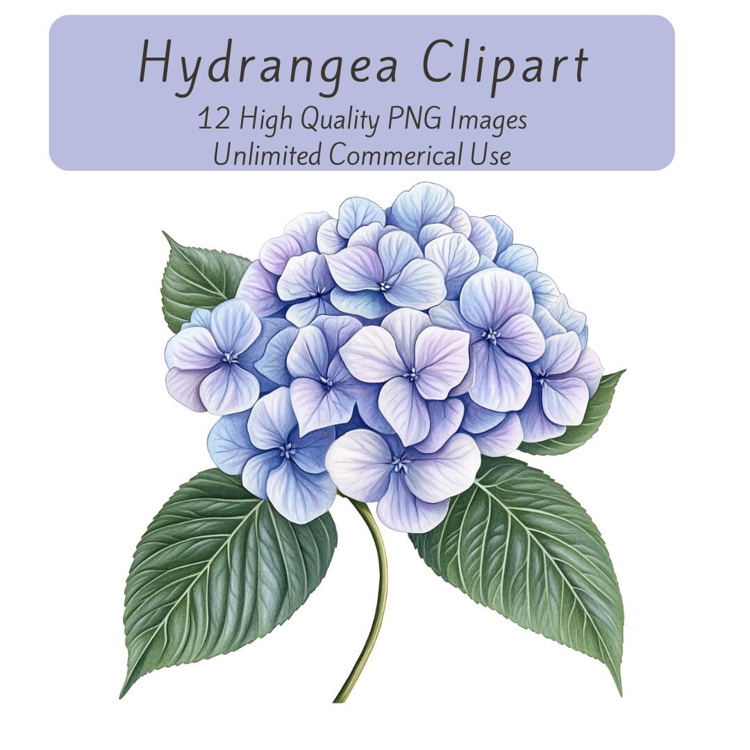 Hydrangea Clipart, Pretty Flower Clipart, Printable Clipart, Flower ...