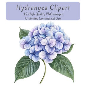 Clipart di ortensie, clipart di fiori graziosi, clipart stampabili, illustrazioni di fiori, download digitale, diario di scarto, artigianato di carta, scrapbooking
