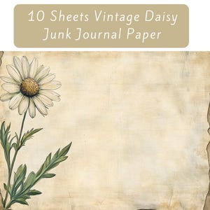 Daisy Junk Journal Paper, Vintage Botanical Pages, Printable Journal Paper, Paper Craft, Digital Collage Sheet, Instant Download, Scrapbook