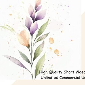 Flower Clipart Videos, Watercolor Floral Clipart, MP4 Videos, Digital Download Videos, Digital Marketing Reels, Animated Flower Clipart