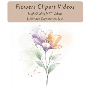 Flower Clipart Videos, Watercolor Floral Clipart, MP4 Videos, Digital Download Videos, Digital Marketing Reels, Animated Flower Clipart