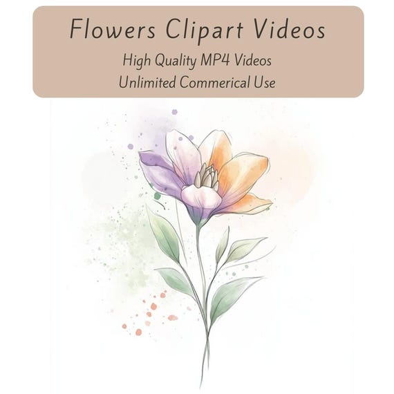 Flower Clipart Videos, Watercolor Floral Clipart, MP4 Videos, Digital Download Videos, Digital Marketing Reels, Animated Flower Clipart
