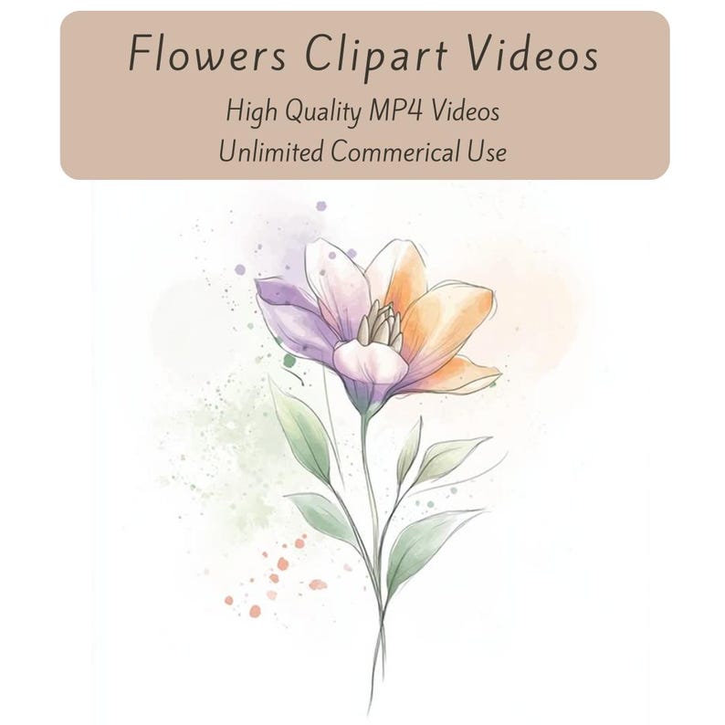 Flower Clipart Videos, Watercolor Floral Clipart, MP4 Videos, Digital Download Videos, Digital Marketing Reels, Animated Flower Clipart