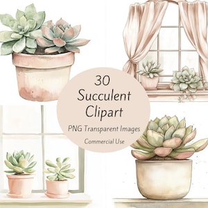 Succulent Clipart, Succulent In Pot, Printable Watercolor Clipart, Plants Clipart, Transparent PNG Images, Botanical Clipart, Paper Craft