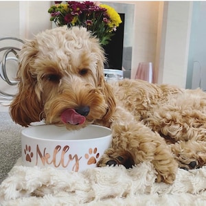 Personalised Pet Bowl Dog Bowl Cat Bowl Cat Dish Bowl Non Skid Ceramic White Pet Bowl Water Dish Feeding Bowl Water