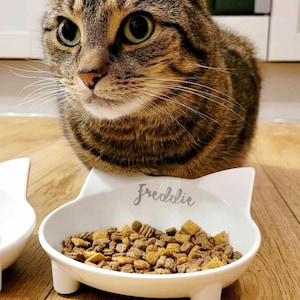 Personalised Cat Bowl Cat Bowl Non Skid Cat Bowl Cat Shape Bowl Cat Shaped Bowl