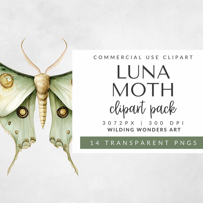 Alternate branding image for the Luna Moth Clipart Pack showing a detailed Luna moth over a transparent background and resolution details.