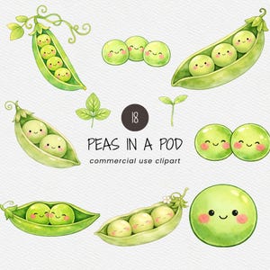 Peut inclure: Illustration à l'aquarelle de petits pois dans une gousse, avec plusieurs gousses et des petits pois souriants. L'image comprend des petits pois individuels, des feuilles et le texte "PEAS IN A POD commercial use clipart".