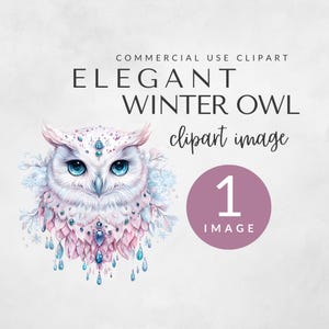 Pack de clipart élégant hibou des neiges hiver pour usage commercial, clipart Noël, illustration de hibou mignon bijoux perles, hibou d'hiver, décoration de Noël