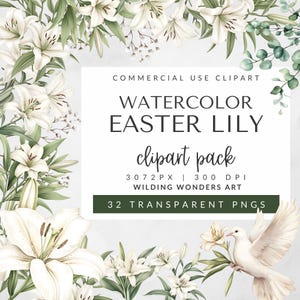 Aquarell Osterlilie Clipart Pack für kommerzielle Nutzung, Frühling Clipart, Hochzeit Einladung Bilder, Aquarell Blumen, digitaler Download
