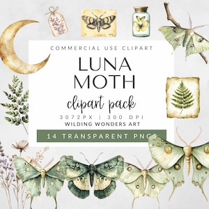 Display of all 14 watercolor clipart elements from the Luna Moth pack, including various moths, leaves, moon, and supporting illustrations in a decorative layout.