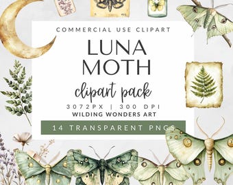 Luna Moth Clipart Pack for Commercial Use, Mystical Butterfly Illustrations, Celestial Moth Png, Witchy Insect Clipart DIGITAL DOWNLOAD