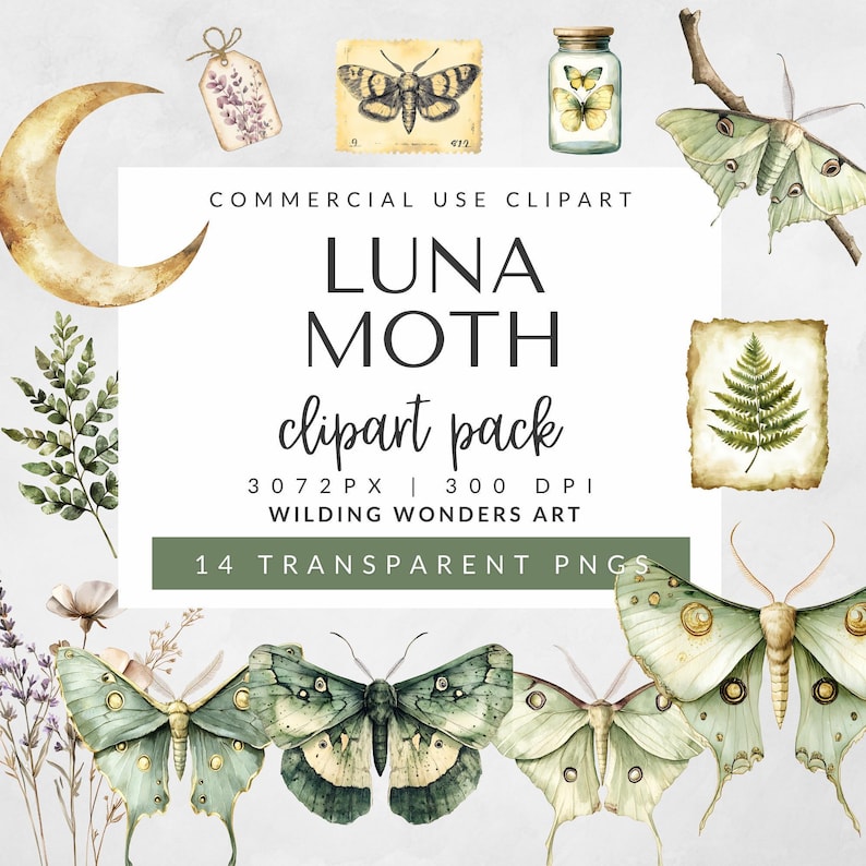 Display of all 14 watercolor clipart elements from the Luna Moth pack, including various moths, leaves, moon, and supporting illustrations in a decorative layout.