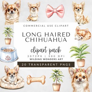 Long Haired Chihuahua Clipart Pack for Commercial Use, Cute Puppy Printable, Dog Illustration, Dog Lover PNG, Sublimation Art, Chiwawa Png