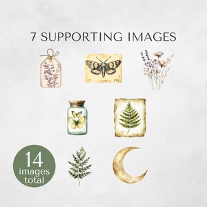 Seven additional watercolor illustrations including a tag, vintage moth stamp, lavender sprigs, jar with butterfly, fern, crescent moon, and greenery.