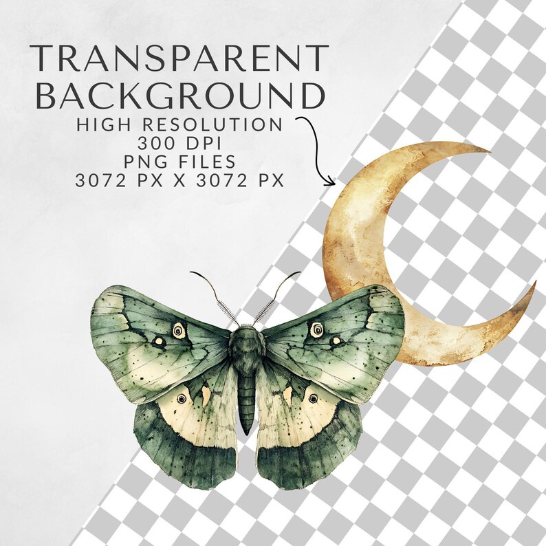 Luna moth and crescent moon clipart over a transparent checkerboard background with overlay text about resolution and PNG format.