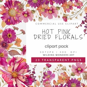 May include: A digital clipart pack featuring watercolor illustrations of hot pink and orange dried florals. The image includes text that reads "HOT PINK DRIED FLORALS" and "23 TRANSPARENT PNGS".